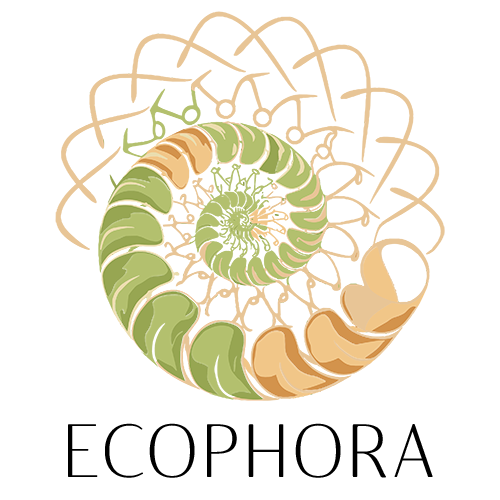 Centre Ecophora - L'Escale des Créateurs